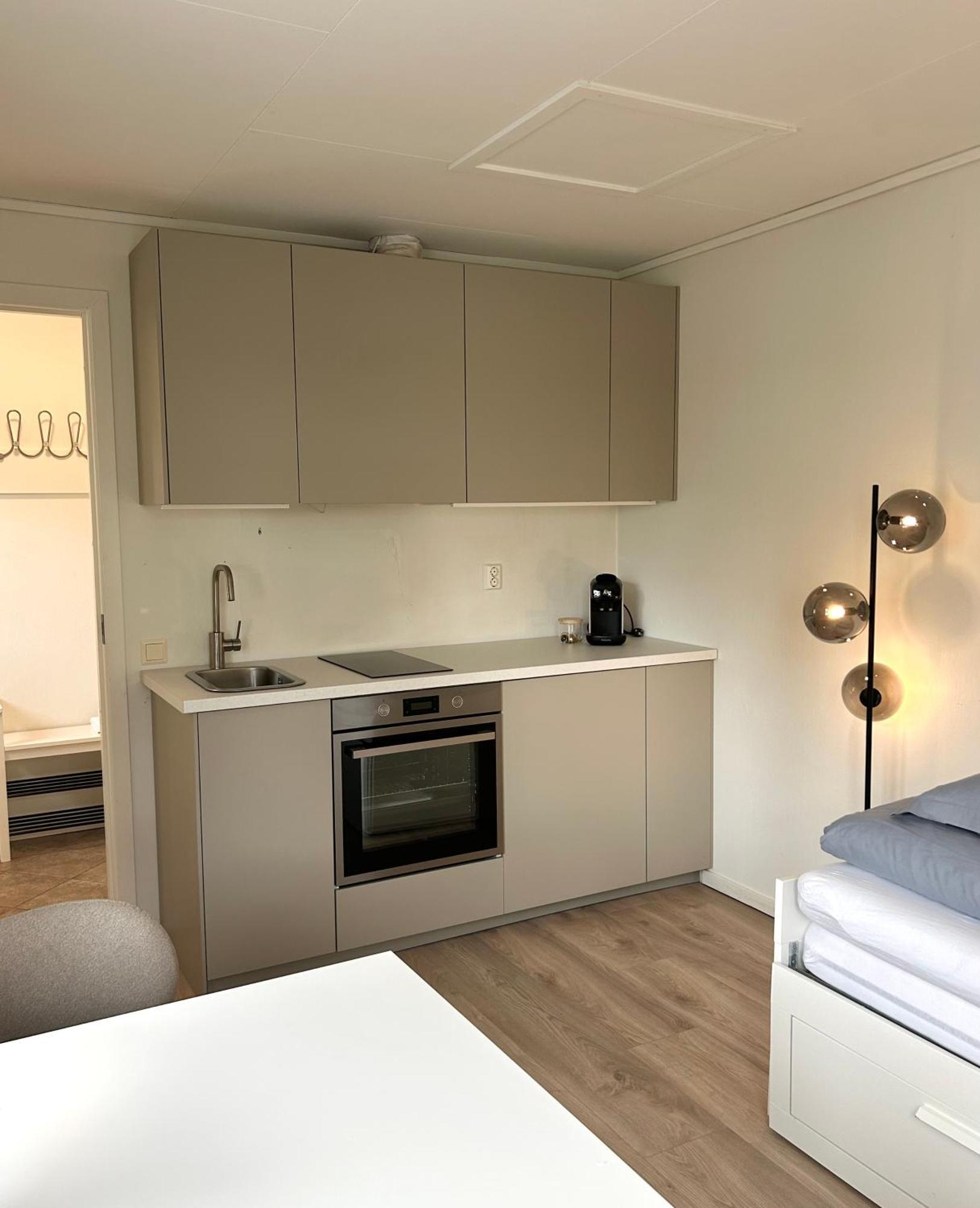 Newly Renovated Studio Apartment - Free Parking And Ev Docking Тронхейм Екстериор снимка