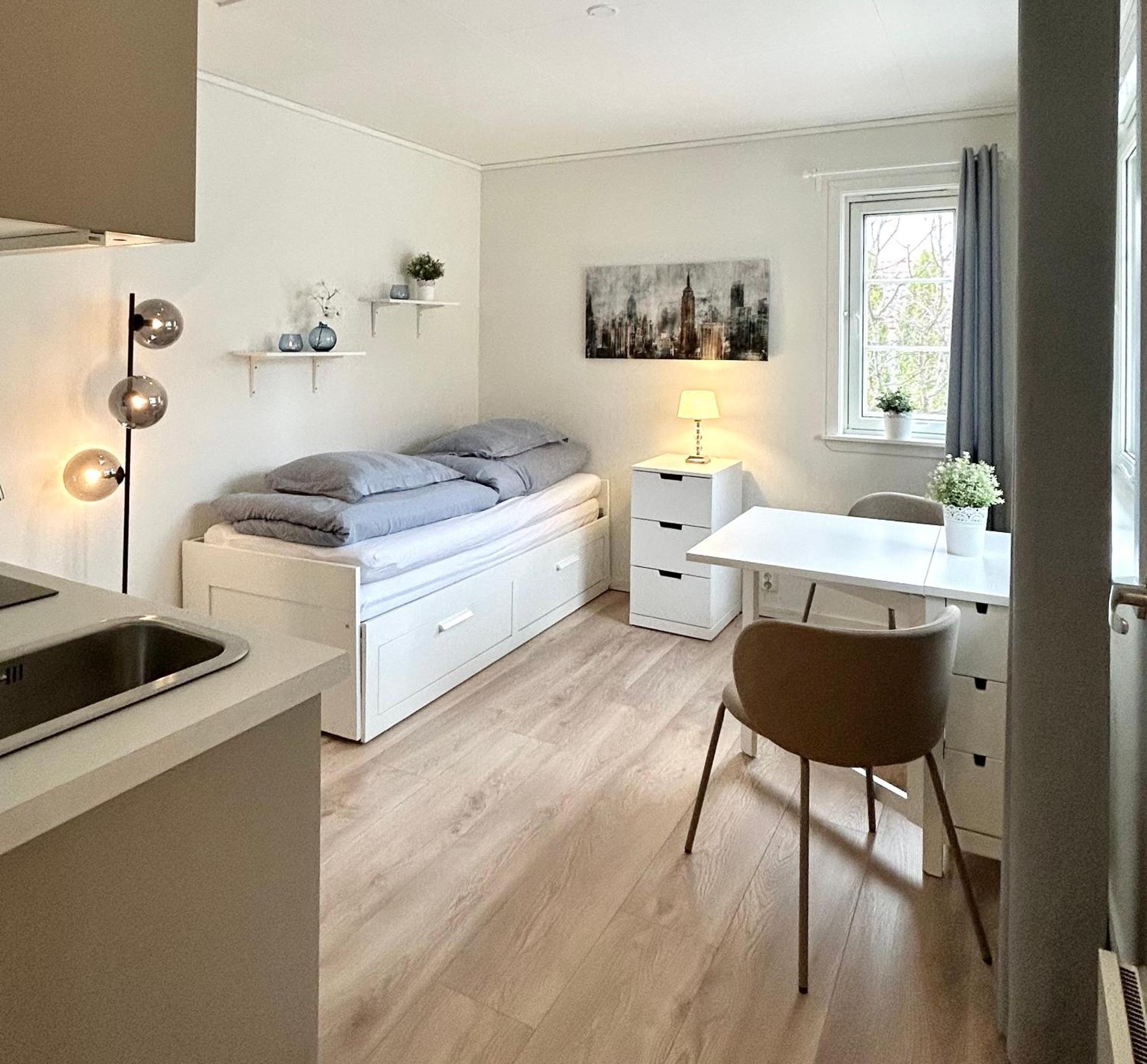 Newly Renovated Studio Apartment - Free Parking And Ev Docking Тронхейм Екстериор снимка